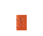 Louis Vuitton Passport Cover