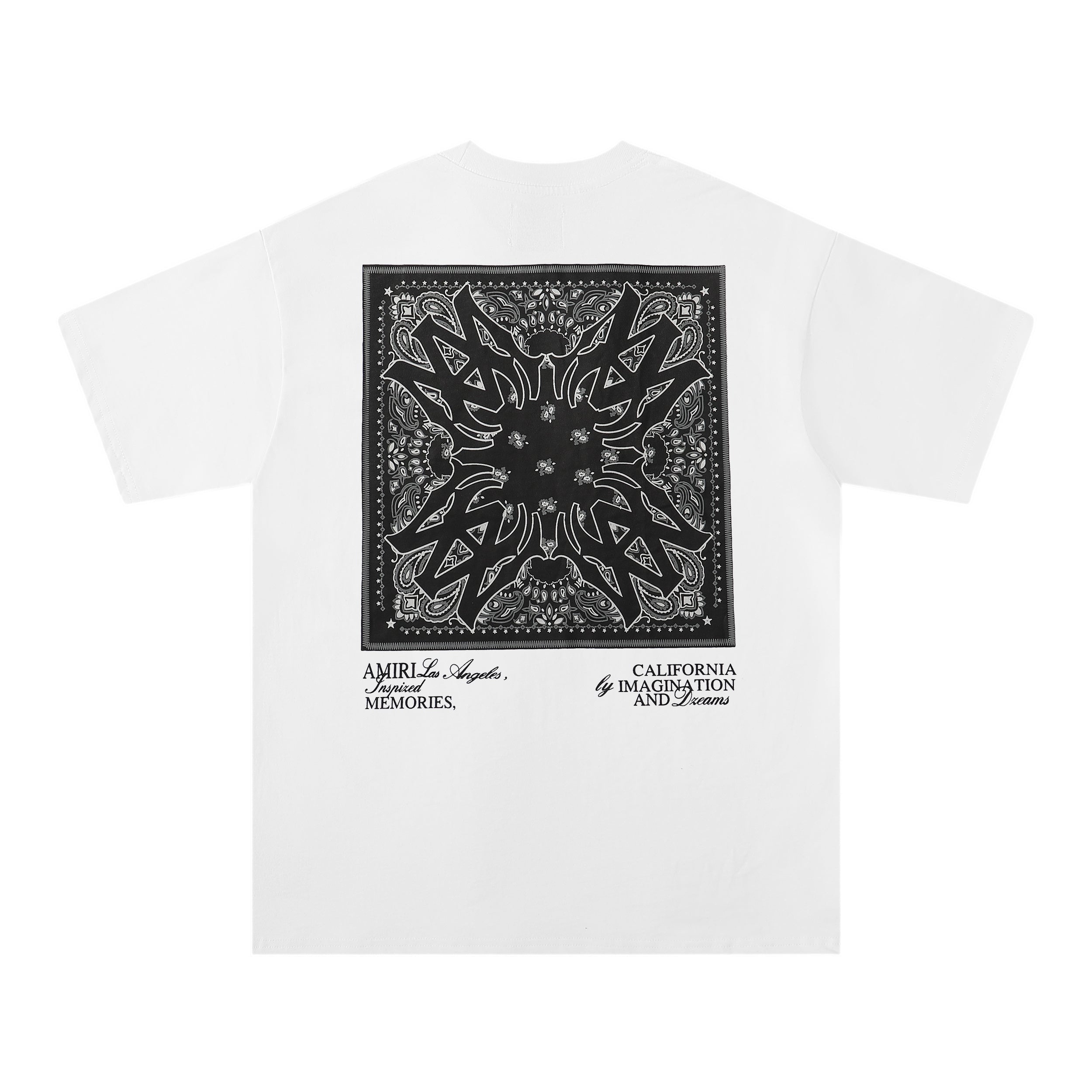 Amiri Tshirt 10